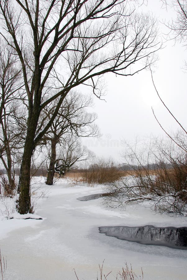 Winter in Missouri on the Lake with Boat Slip Stock Photo Image of