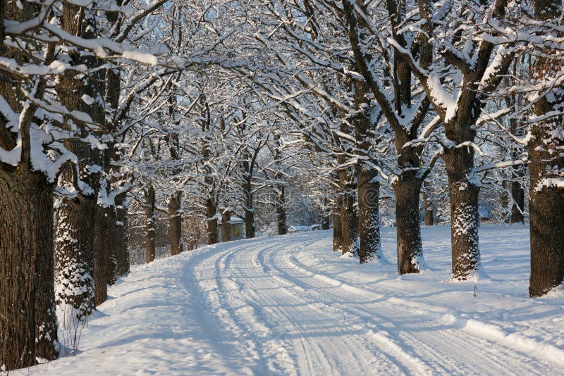 Winter road stock photo Winter road stock photo
