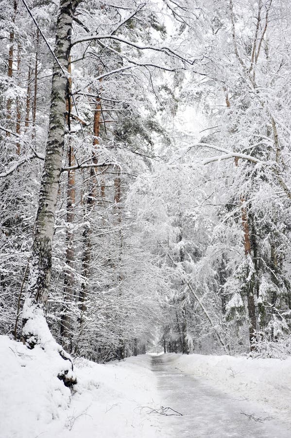 Winter road