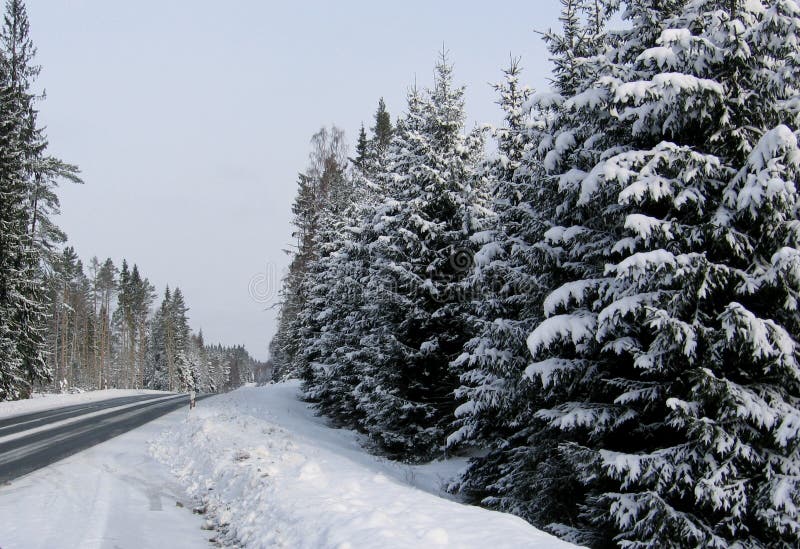 Winter road