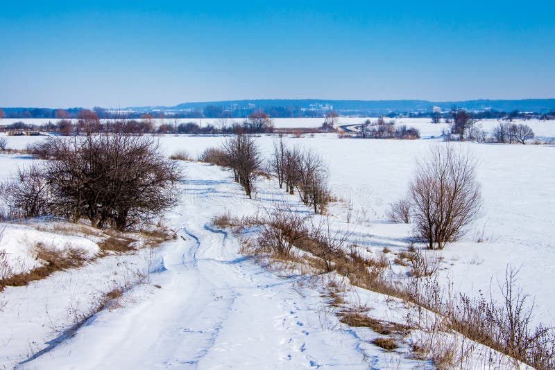 Winter road in the field on a sunny winter day. Trees along the