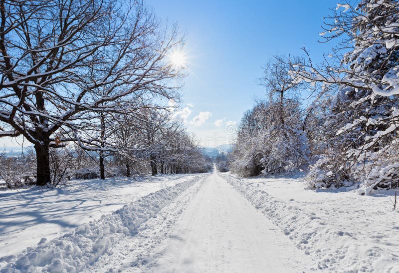 Winter road landscape with snow covered trees and bright sun