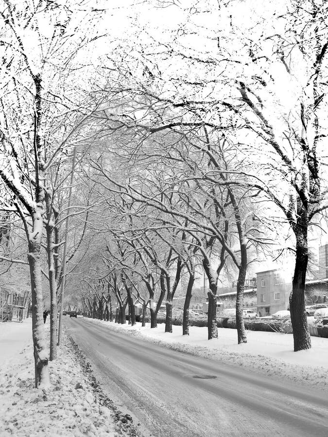 Beautiful, Peaceful Scene of a Park during a Winter Stock Photo Image