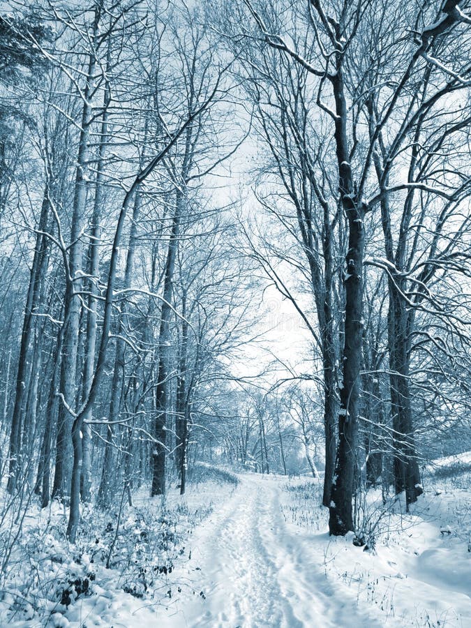 Winter road to wood