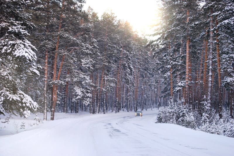 Winter road to a wood