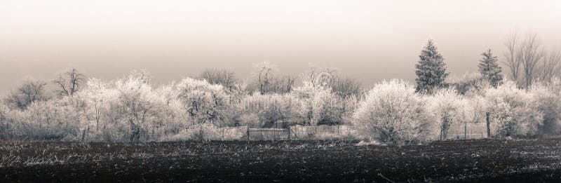 Winter Rural Panorama stock photography Winter Rural Panorama stock photography