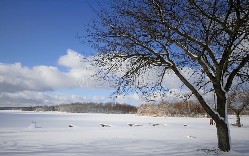 Winter Scene