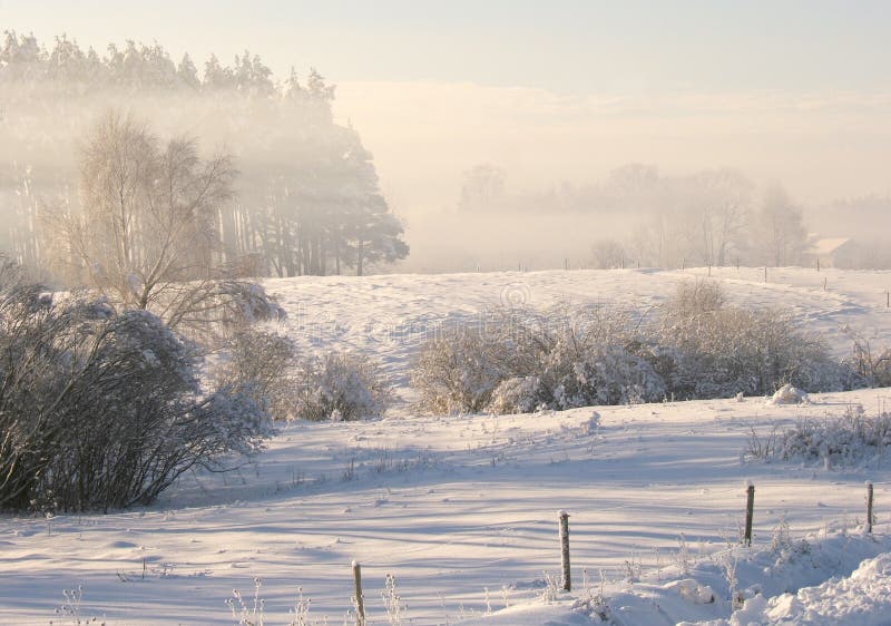 Winter scene