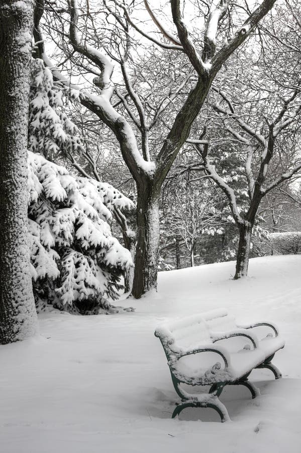 Scena di inverno con la panchina di un parco.