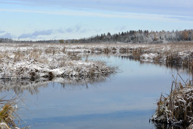 Winter Scene of Snow Over Wetland Marsh Stock Image - Image of ...