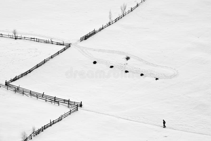 Winter scene with a man walking on his path