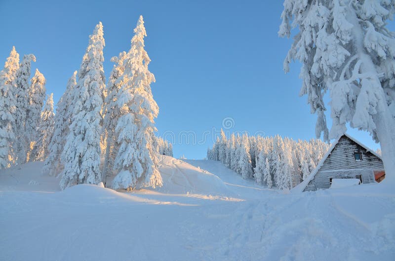 Winter scene on mountain