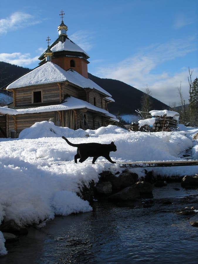 A winter scene in the mountains whith black cat. A winter scene in the mountains whith black cat
