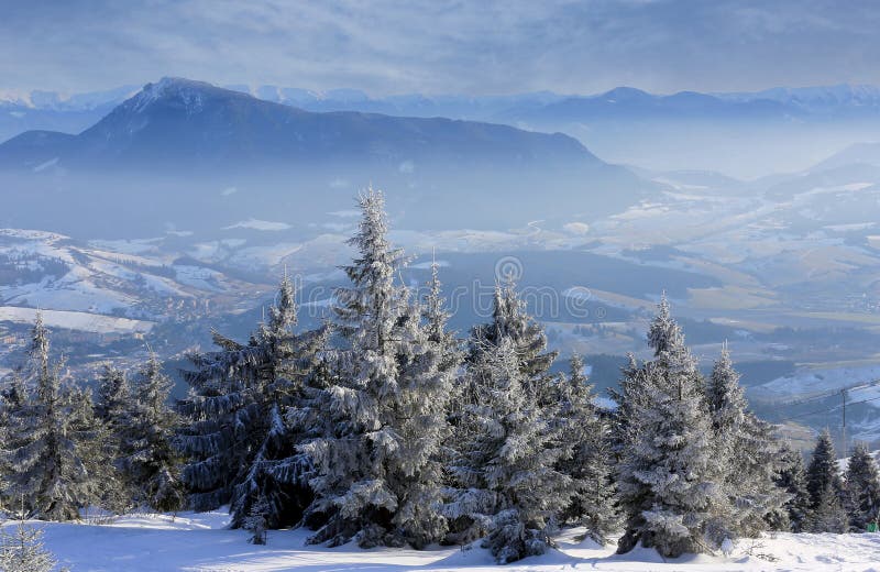 Zimní scéna ve slovenských horách
