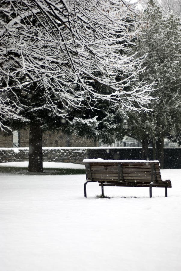 Winter scene - snowfall in the park