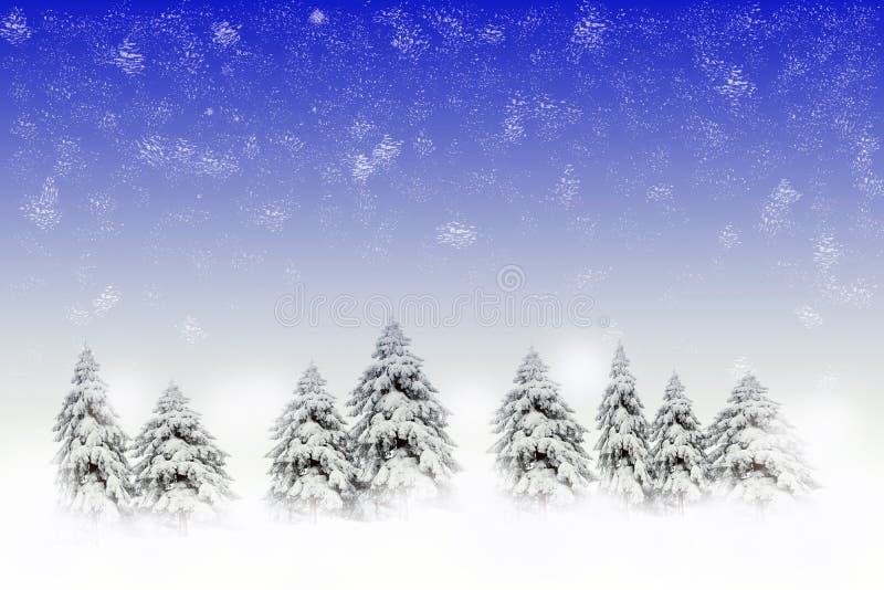 Winter scene with snowy pines