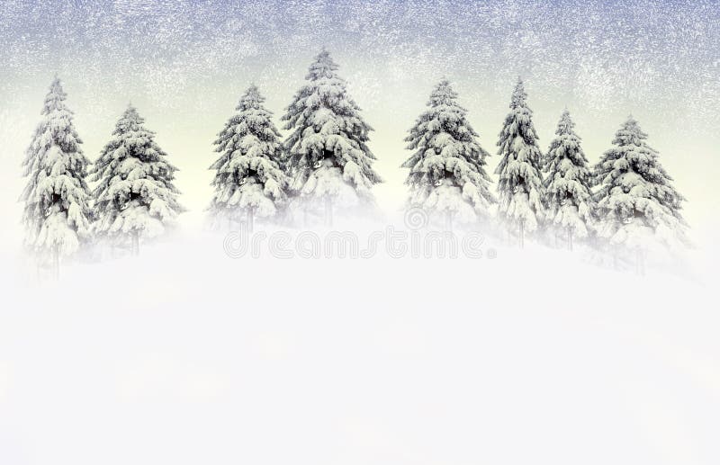 Winter scene with snowy pines