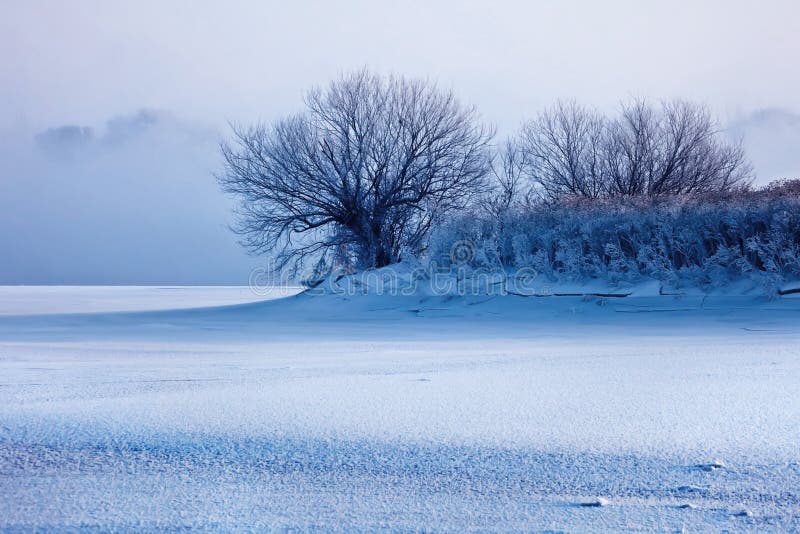 Winter scenery