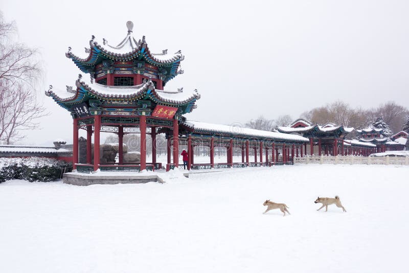 Winter scenery of Chinese park