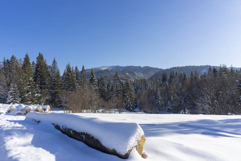 Winter scenery in the mountains. Around Oravice. Tatry. Slovakia