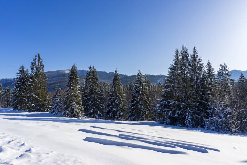 Winter scenery in the mountains. Around Oravice. Tatry. Slovakia