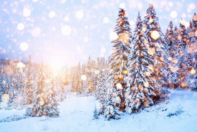 Winter scenic landscape with colorful snowflakes stock image Winter scenic landscape with colorful snowflakes stock image
