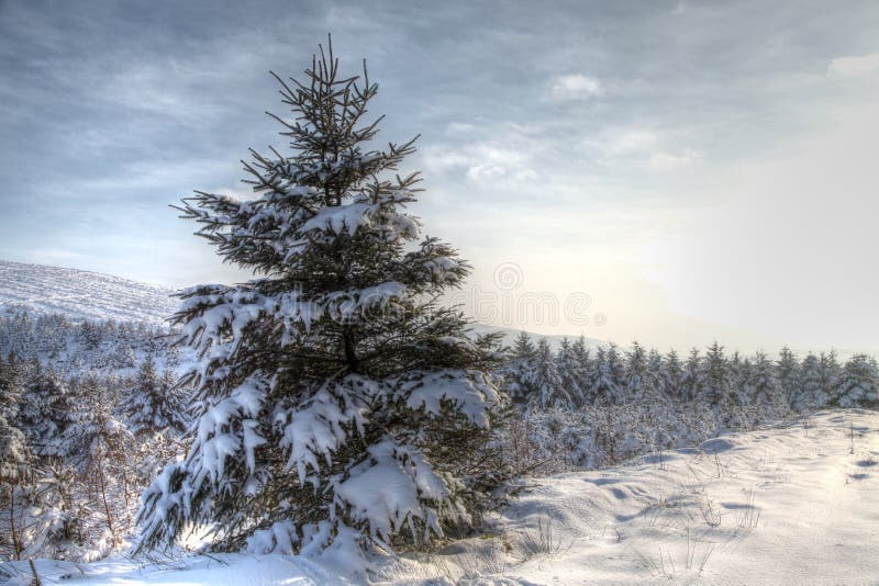 Winter-Schnee-Szene HDR stockfotos Winter-Schnee-Szene HDR stockfotos
