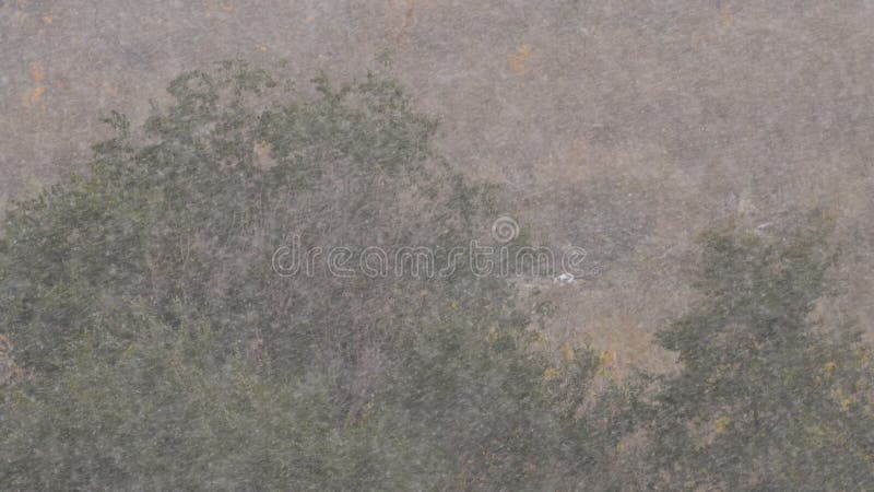 Winter-Schneesturm mit undeutlichem Forest Background