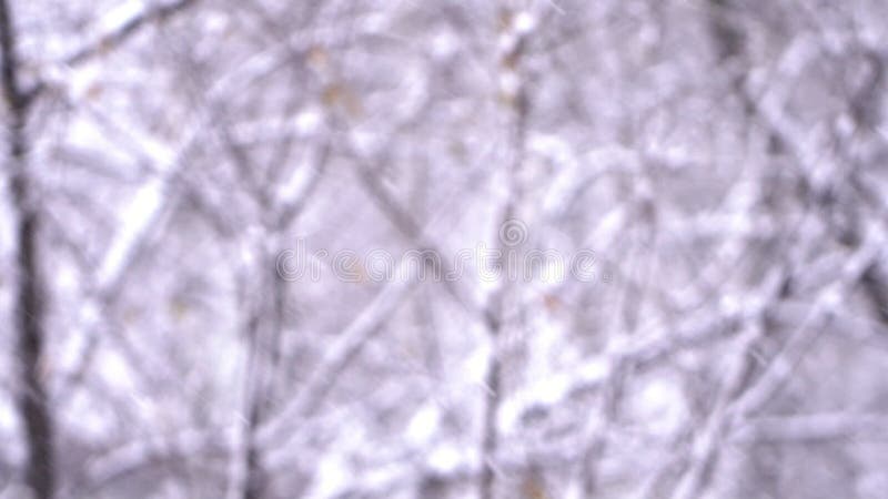 Winter-Schneesturm mit undeutlichem Forest Background