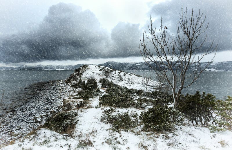 Winter seashore landscape