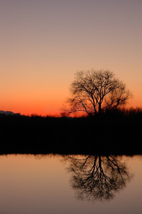 Winter Silhouette stock image. Image of delta, evening - 3105709