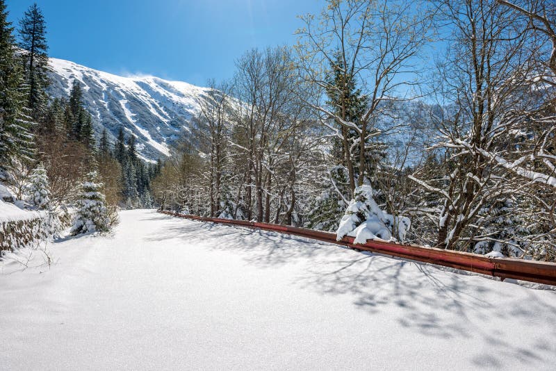 Zima na Slovensku Tatry. vrcholky a stromy pokryté sněhem