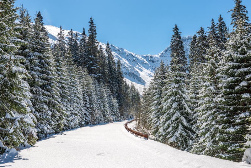 Zima na Slovensku Tatry. vrcholky a stromy pokryté sněhem