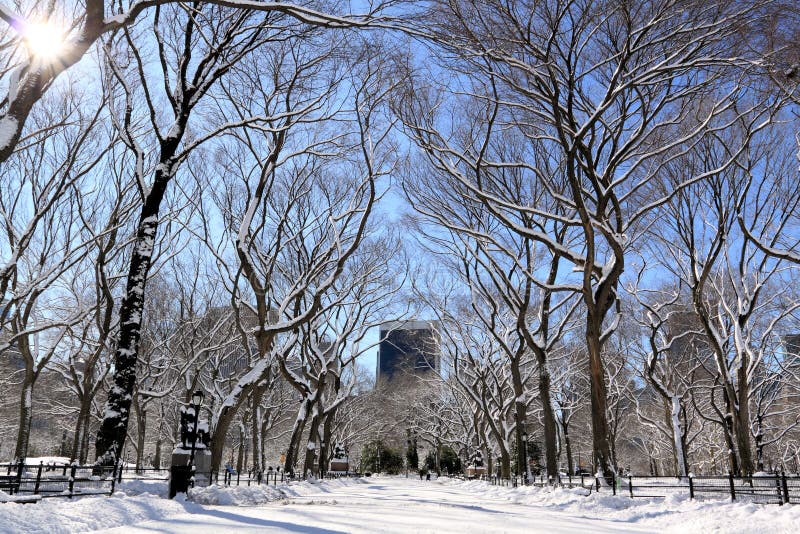 Winter Snow in Central Park, New York City Stock Photo - Image of night ...