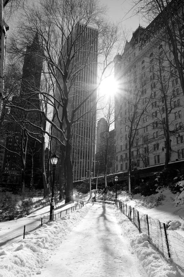 Winter Snow in Central Park, New York City Stock Photo Image of night