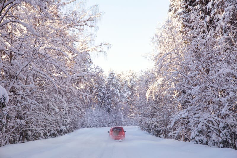 Winter snow-covered forest, red car driving on the road, sunny day