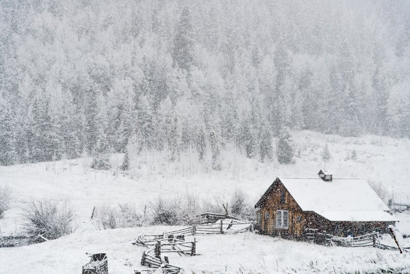 La nieve descendente sobre el viejo acceso cabina en Bosque la nieve tormenta tormenta de nieve en montanas.