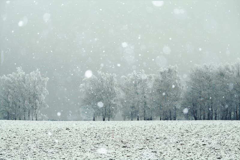 Winter snow landscape