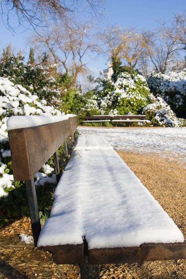 Winter snow scene