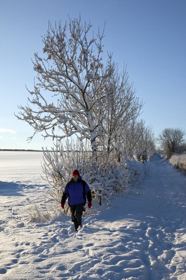 Winter Snow in the United Kingdom Stock Image Image of countryside