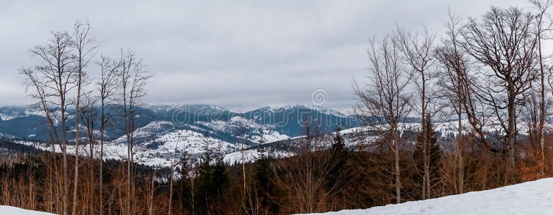 Winter cloudy landscape of the Carpathian Mountains in Eastern Europe. Winter snowy landscape of the Carpathian Mountains in Eastern Europe. High birch and fir royalty free stock photography Winter cloudy landscape of the Carpathian Mountains in Eastern Europe. Winter snowy landscape of the Carpathian Mountains in Eastern Europe. High birch and fir royalty free stock photography