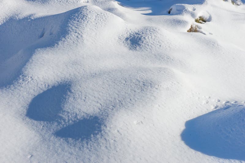 Winter Snowy Landscape with Snow Drifts Stock Image Image of clean