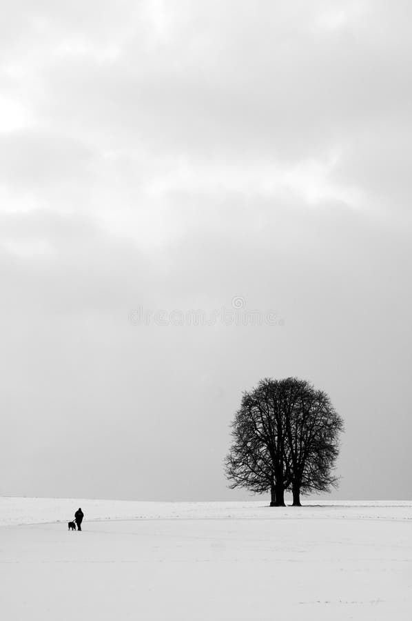 Winter solitude