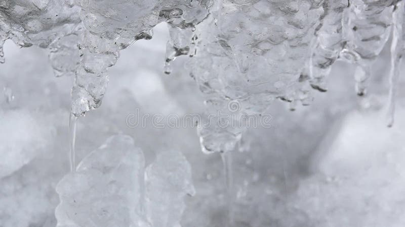 Winter or spring background icicles icy dripping flowing water melting ice looped video