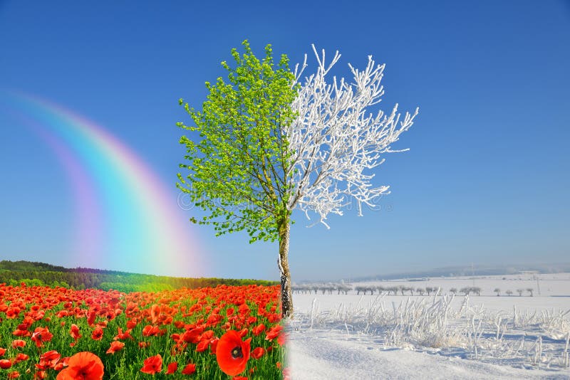 Winter and spring landscape with blue sky.