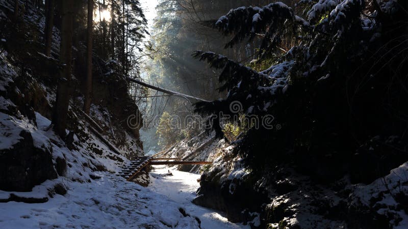 Winter in Sucha Bela gorge , Slovensky raj National park , Slovakia