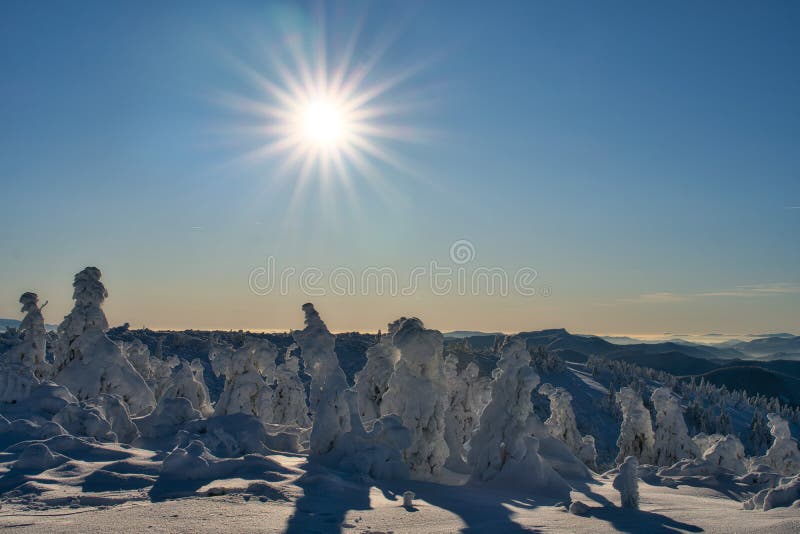 Zimní slunce na vrchu Křížava v Malé Fatře u Martinských Holí