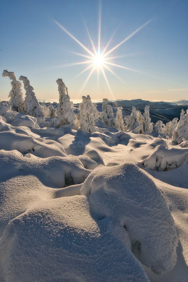 Winter sun on Krizava hill in Mala Fatra near Martinske Hole