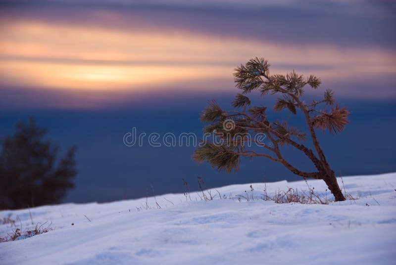 Winter sunset