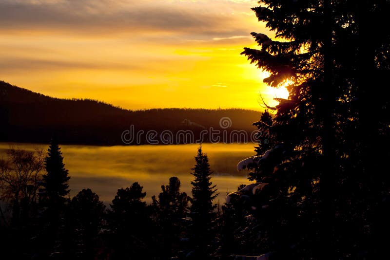 Winter sunset in the forest